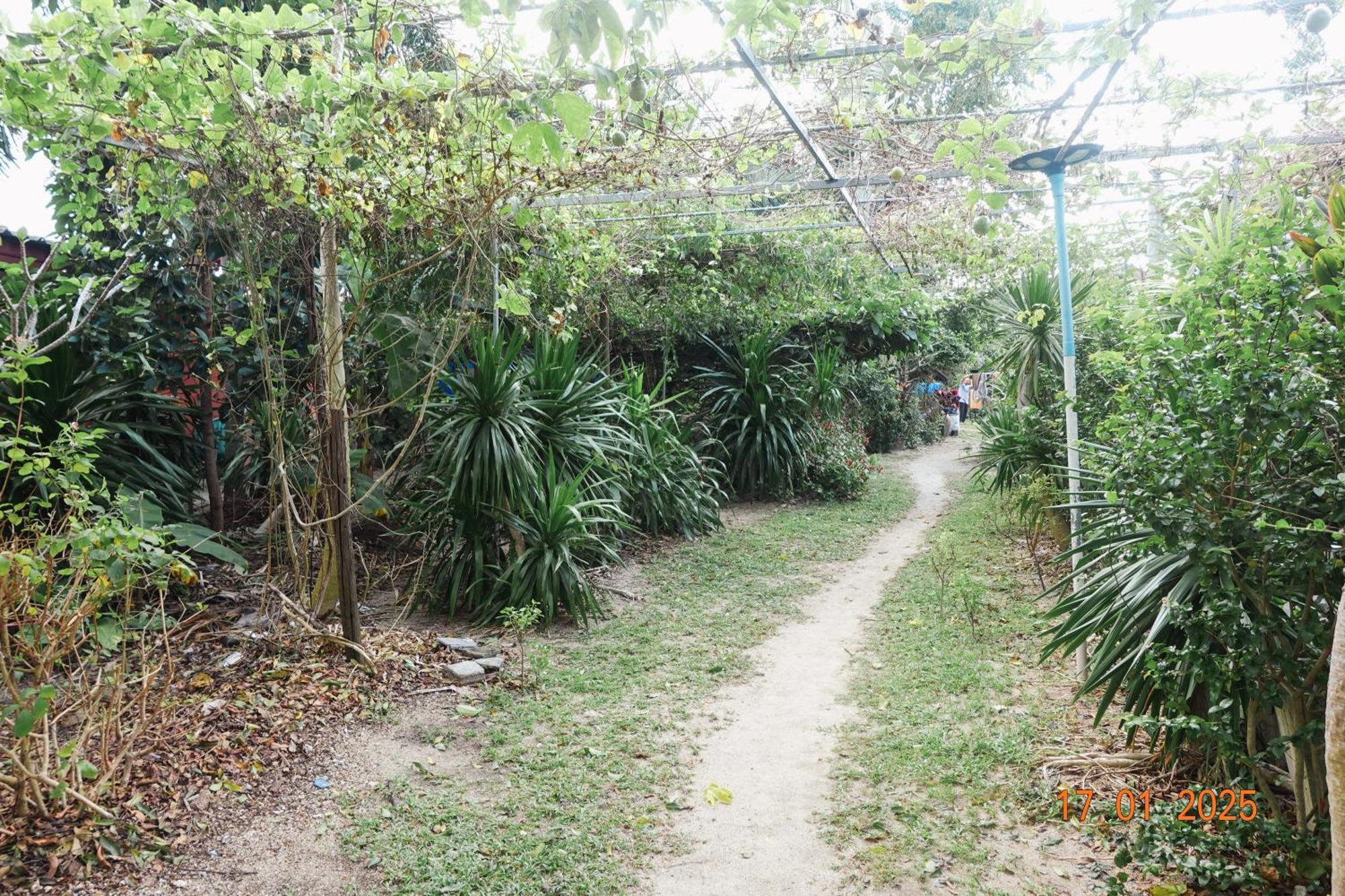 קופנגן Subsavet Village מראה חיצוני תמונה